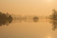 Gouden landschap in de mist van Michel Vedder Photography thumbnail