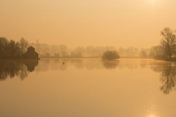 Gouden landschap in de mist von Michel Vedder Photography