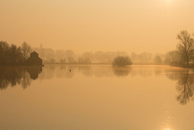 Gouden landschap in de mist van Michel Vedder Photography
