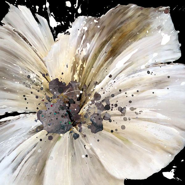fiore bianco von Andreas Wemmje