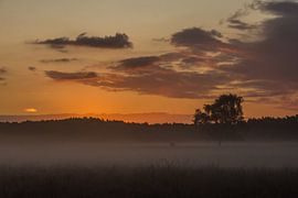 Zonsopkomst van Carla Eekels