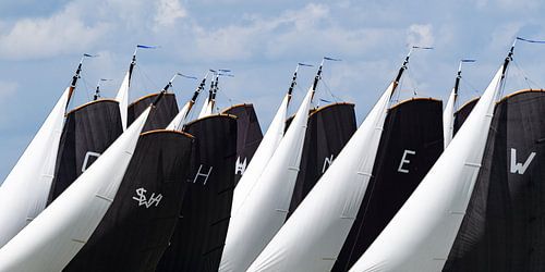 Skûtsje klassieke Friese Tjalk-zeilschepen tijdens het jaarlijkse Skûtsjesilen