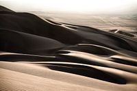 Sand dunes in the Huacachina desert/oasis | Peru