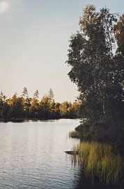 Carried to the shores by Winanda Winters