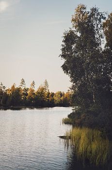 An die Küste getragen