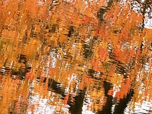 Urbane Malerei - Herbstgold