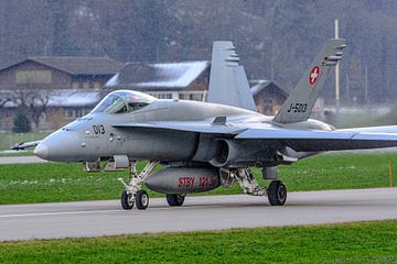Zwitserse McDonnell Douglas F/A-18C Hornet. van Jaap van den Berg