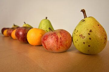 Obst von Philipp Klassen