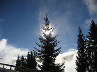 Views in Austria