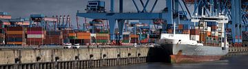 Containerterminal in de haven van Hamburg aan de Süderelbe van Jonas Weinitschke