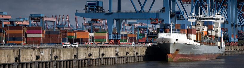 Bateau porte-conteneurs au terminal avec grues de chargement bleues par Jonas Weinitschke