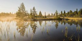 Stiller Morgen II von Rainer Mirau