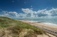 Beach Zoutelande