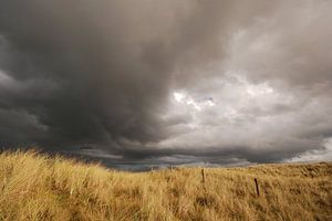 Donkere lucht boven de duinen