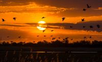 In vogelvlucht langs de zon