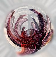 Zeester in glazen bol