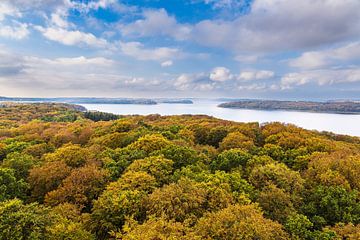 Herbstliche Wälder auf der Insel Rügen von Rico Ködder
