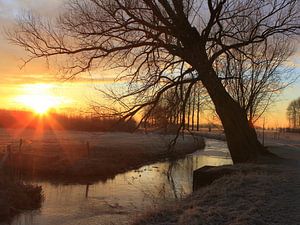 cold Sunrise sur Ab Donker