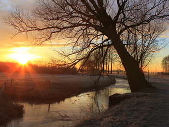Koude Zonsopkomst