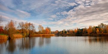 Herbst von Violetta Honkisz