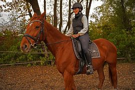 Training with the bay Oldenburg mare on a riding arena