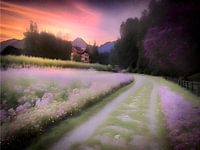 Setting sun in the mountains