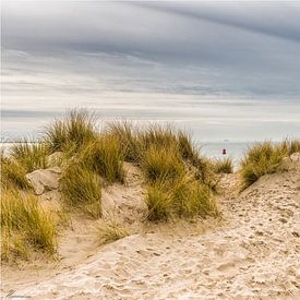 Vue à travers les dunes . sur Marianne van der Westen