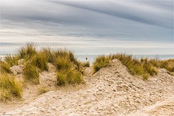 Doorkijkje door  duinen . van Marianne van der Westen