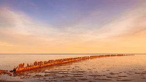 Am Wattenmeer bei Wierum