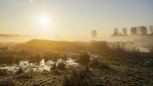 Le matin s'est levé