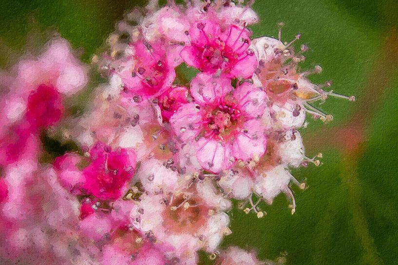 Blumensträuße von Lens Design Studio