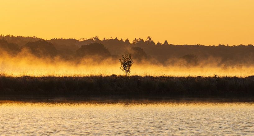 Sunrise Dwingelderveld - Drenthe (Netherlands) by Marcel Kerdijk