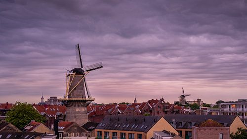 Moulin de Noord et moulin de Walvisch à Schiedam
