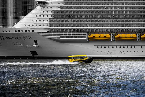 Watertaxi in Rotterdam