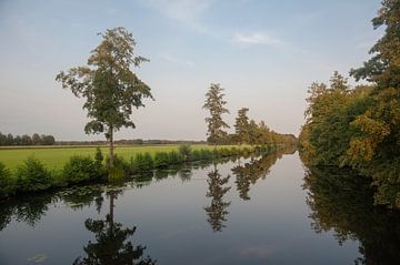 Bomen Meppel van Richard Wareham