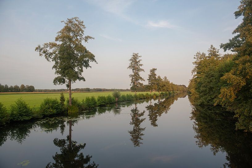 Bomen Meppel van Richard Wareham