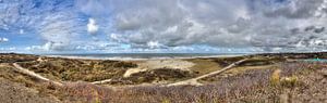 Panorama van de kust