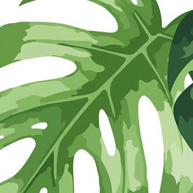Monstera auf Weiß – Triptychon (1 von 3) von AidasignArt