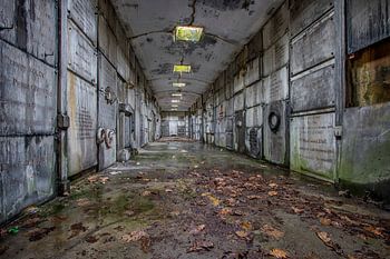 Rotterdam Erasmus Bridge @ Night