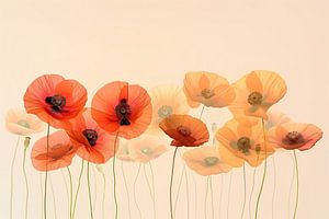 Mohnblumen