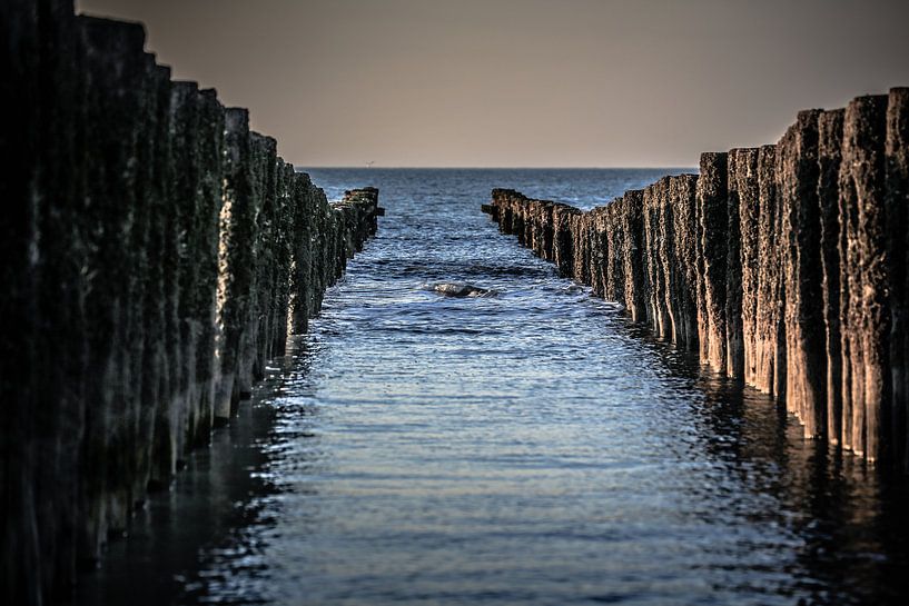 Wet feet by Fotografie Jeronimo