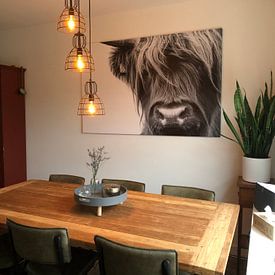 Customer photo: Portrait Scottish Highlander black and white by Sandra van Kampen, on canvas