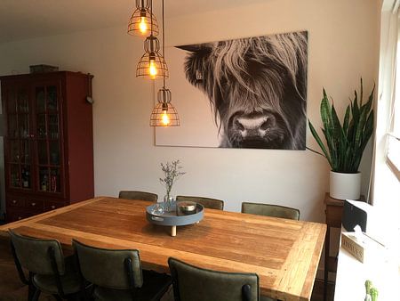 Portrait Highlander écossais noir et blanc