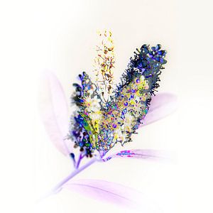 subtile Blume #02