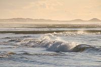 Waves