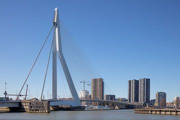 Willemsbrug Rotterdam van Joost Adriaanse
