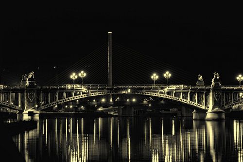 Brug over De Maas - Art 