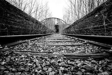 Railroad to unknown van Mark Dankers