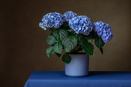 Still life with hydrangea by Mirjam Brozius