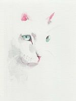 Handgeschilderde aquarel met witte kat. Minimalistische stijl.